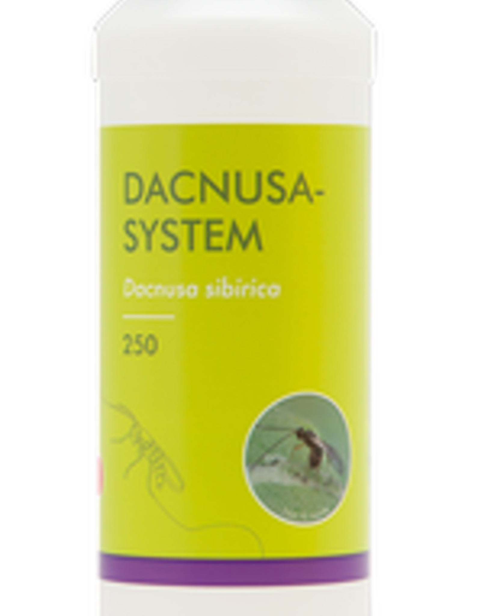 Brimex Biobest Sluipwesp Brimex Dacnusa system