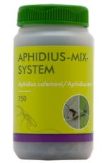 Brimex Biobest Sluipwespen mix Brimex Aphi-Mix-System