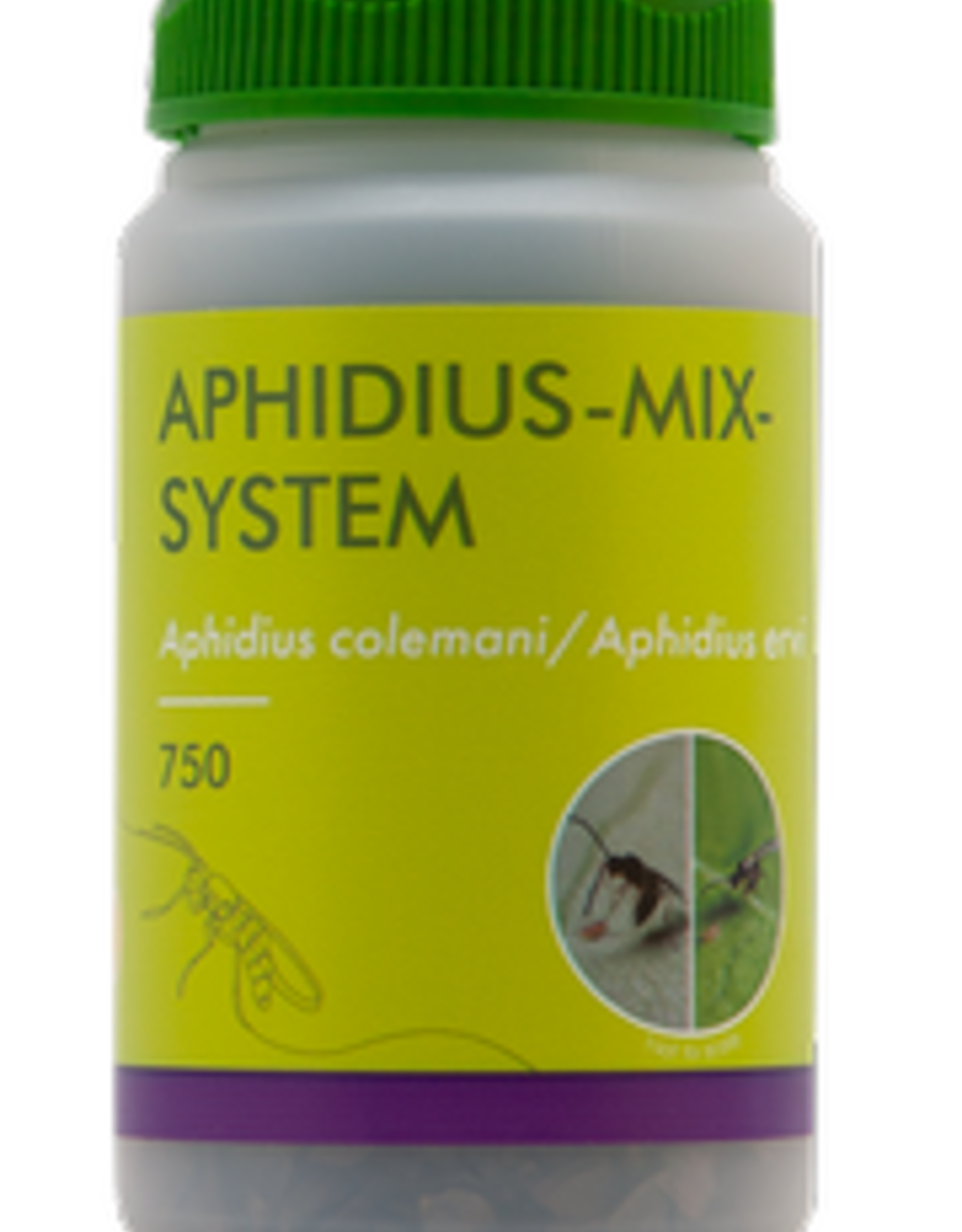 Brimex Biobest Sluipwespen mix Brimex Aphi-Mix-System
