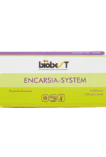 Brimex Biobest Sluipwesp Brimex Encarsia formosa