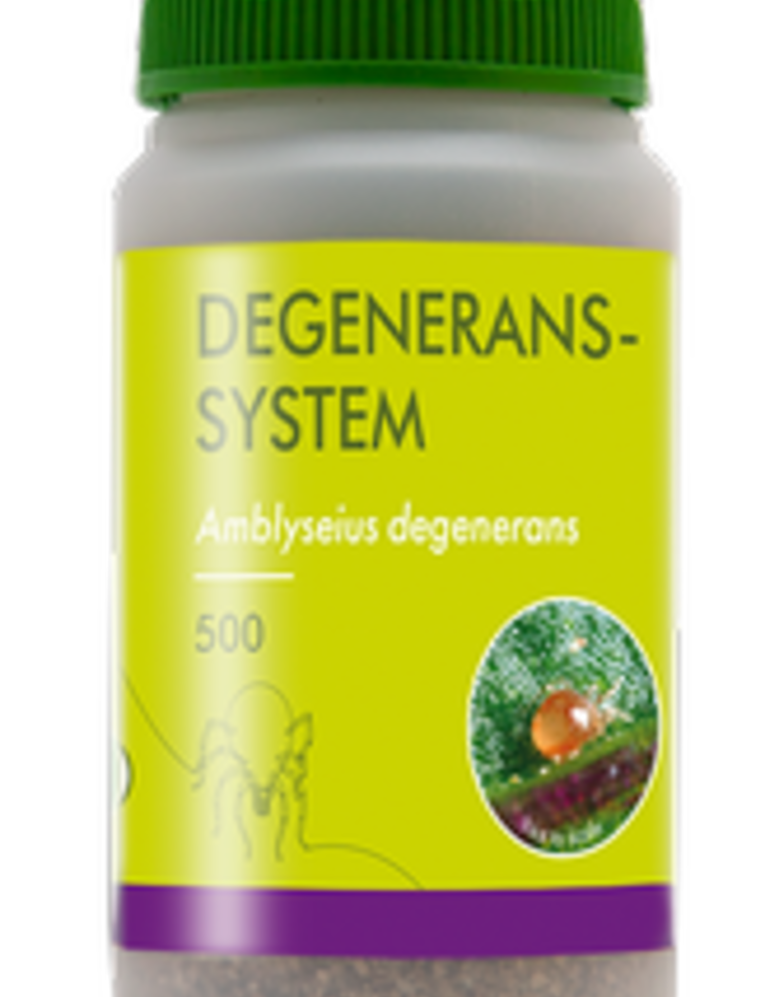 Brimex Biobest Degenerans-System roofmijt Amblyseius degenerans tegen tripslarven.