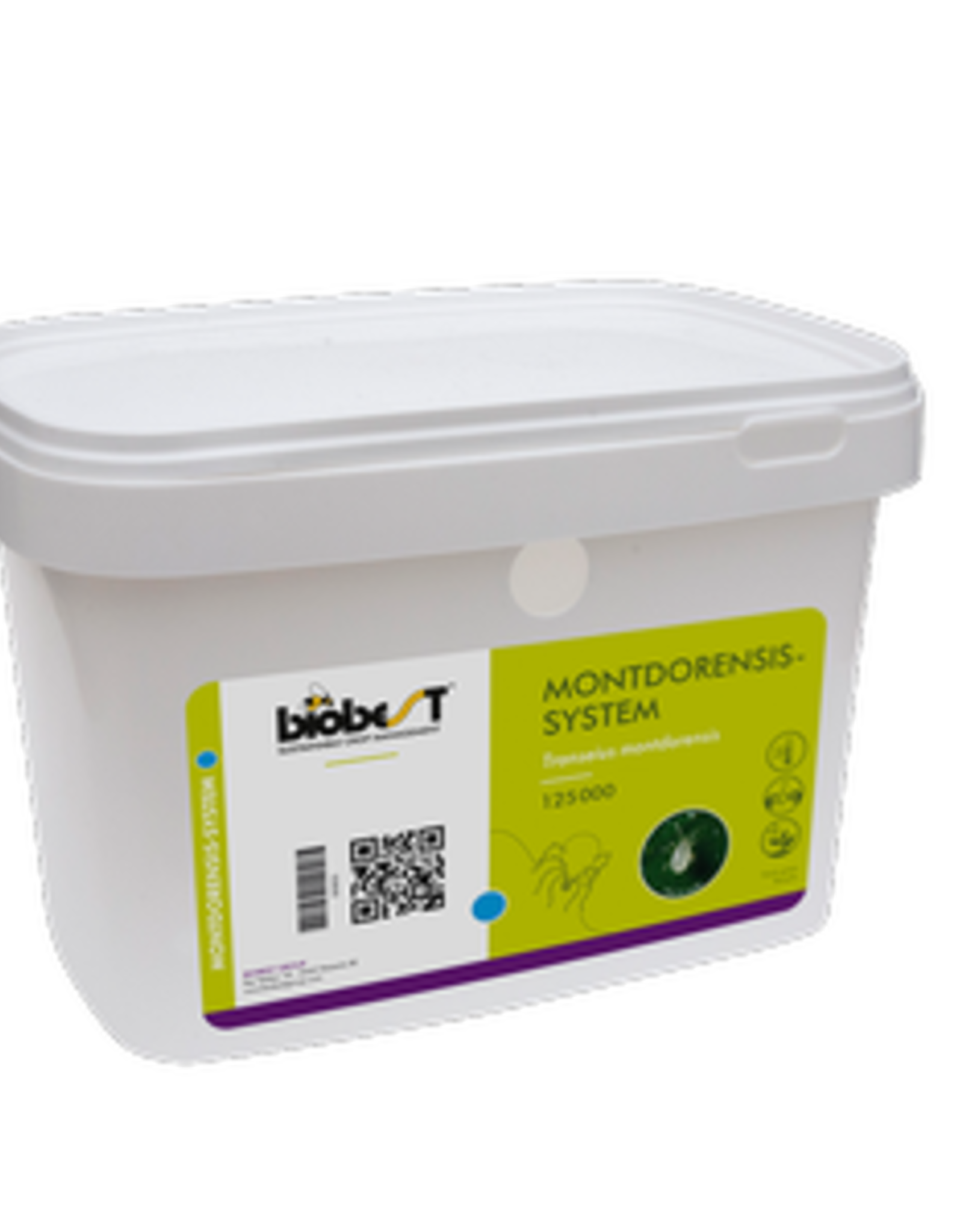 Brimex Biobest Montdorensis-System – Robuuste roofmijt tegen wittevlieg en trips
