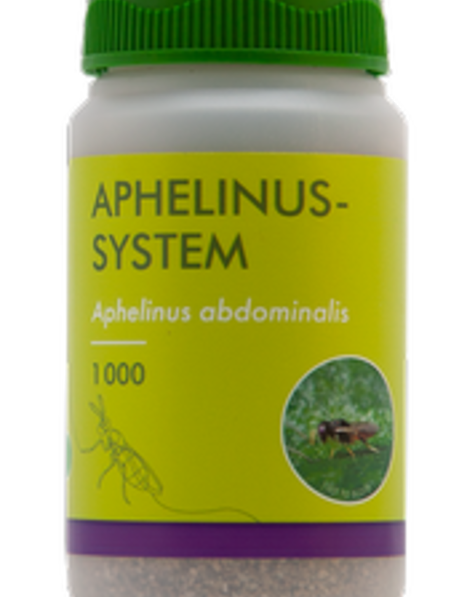 Brimex Biobest Aphelinus-System – betrouwbare bestrijding van grote bladluissoorten