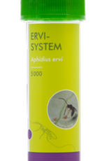 Brimex Ervi-System – koploper in de bestrijding van grote bladluizen