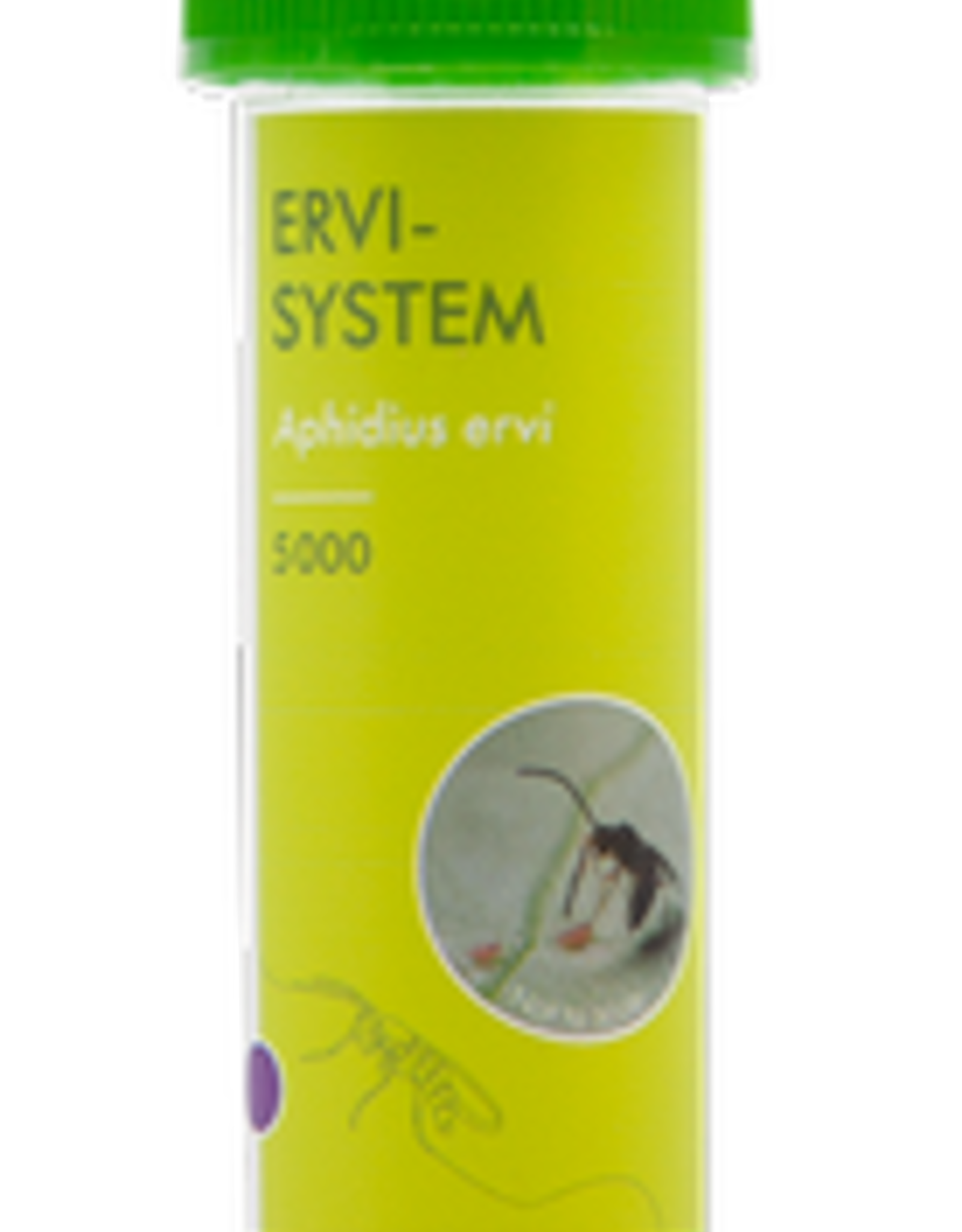 Brimex Ervi-System – koploper in de bestrijding van grote bladluizen