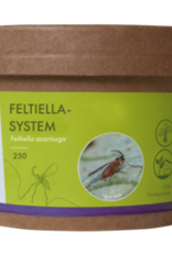 Brimex Biobest Feltiella system: galmug die zich vestigt in spintmijthaarden