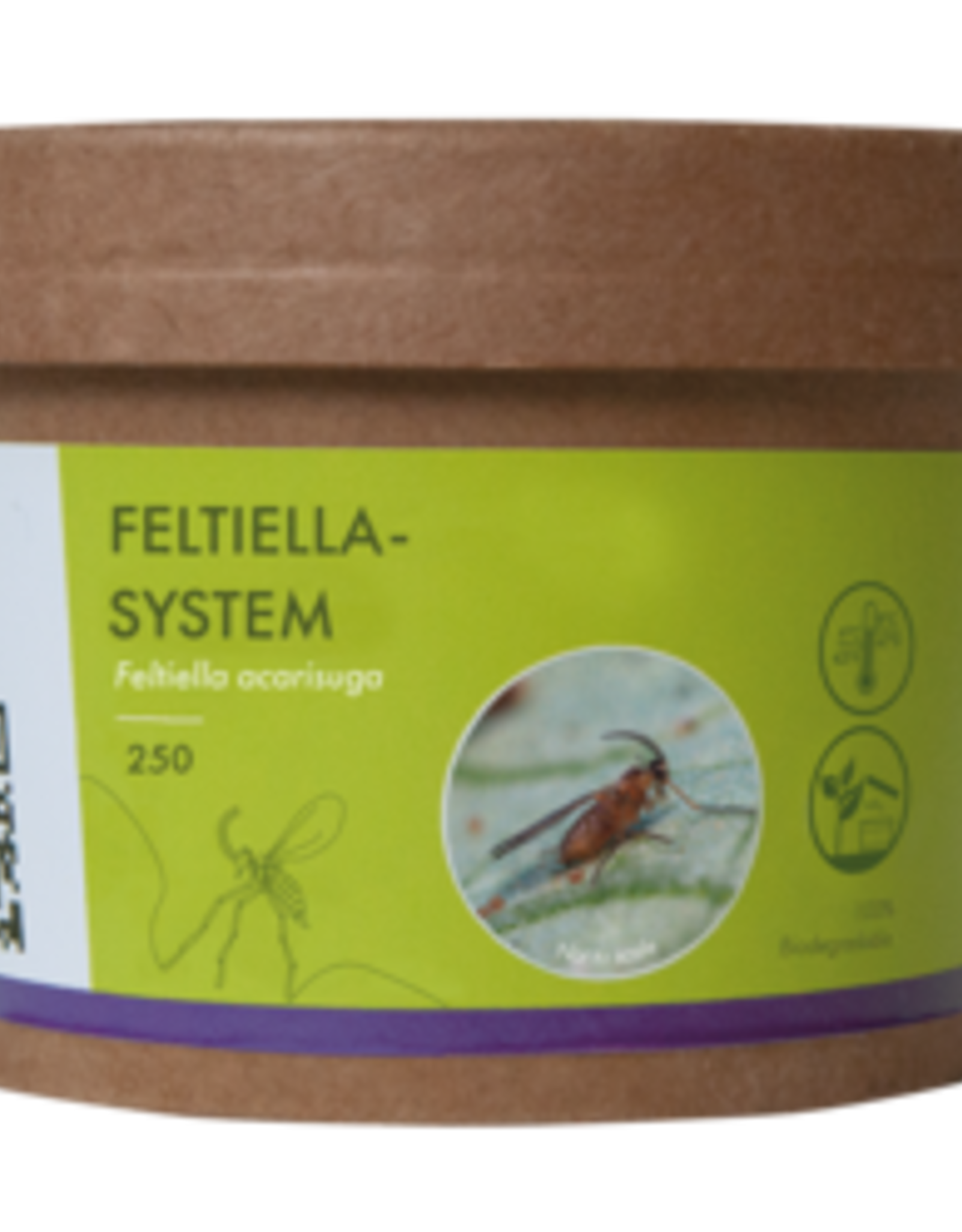 Brimex Biobest Feltiella system: galmug die zich vestigt in spintmijthaarden