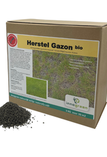 Innogreen Innogreen Herstel Gazon bio 7-6-12 + 2 MgO + sporen + fulvine Innogreen Innogreen Herstel Gazon bio 7-6-12 + 2 MgO + sporen + fulvine