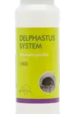Brimex Biobest Kever Brimex Delphastus catalinea Delpastus system