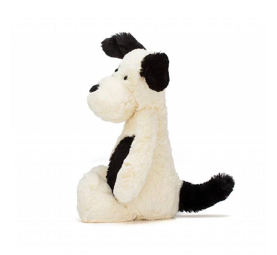 Bashful Black&Cream Puppy