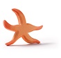 Starfish 23003