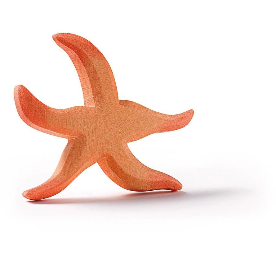 Starfish 23003