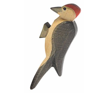 Ostheimer Woodpecker 16810