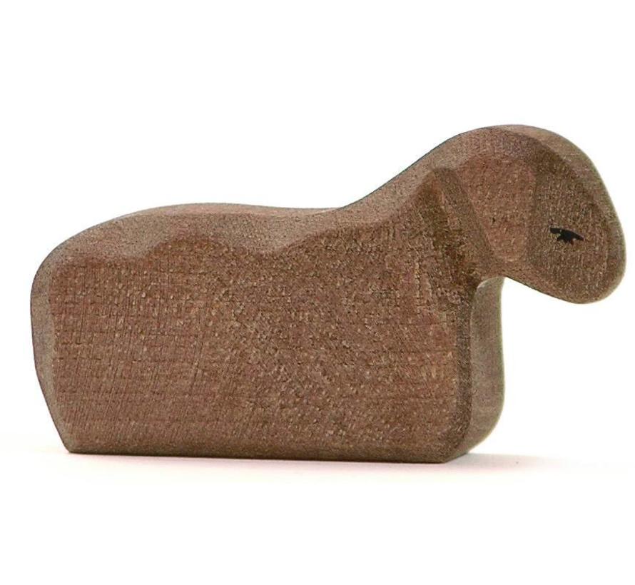 Schaap Lam 11654