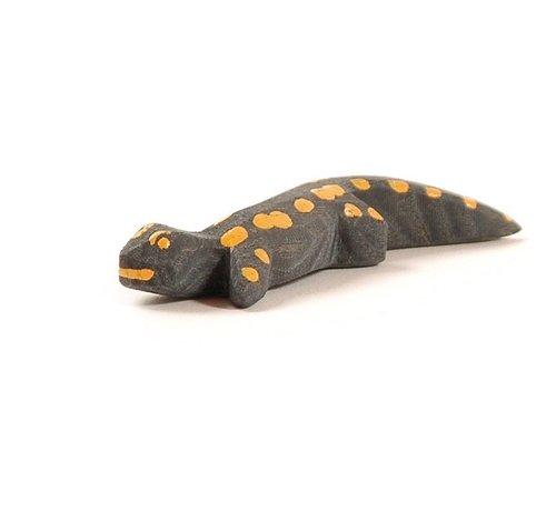 Ostheimer Salamander 1655