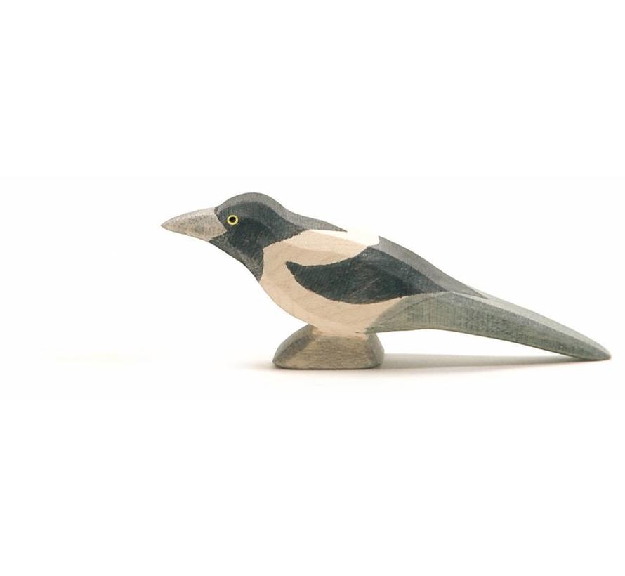 Bird Magpie 16809