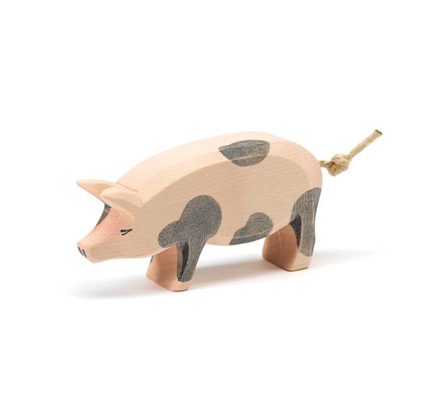 Pig Spotted 10951