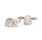 Slofjes Blossom Silver Bunny Booties