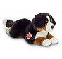 Knuffel Berner Sennenhond