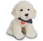 Knuffel Hond Labradoodle