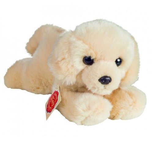 Teddy Hond Labrador Puppy - HOUTENDIERSHOP.com