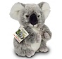 Knuffel Koala Buidelbeer