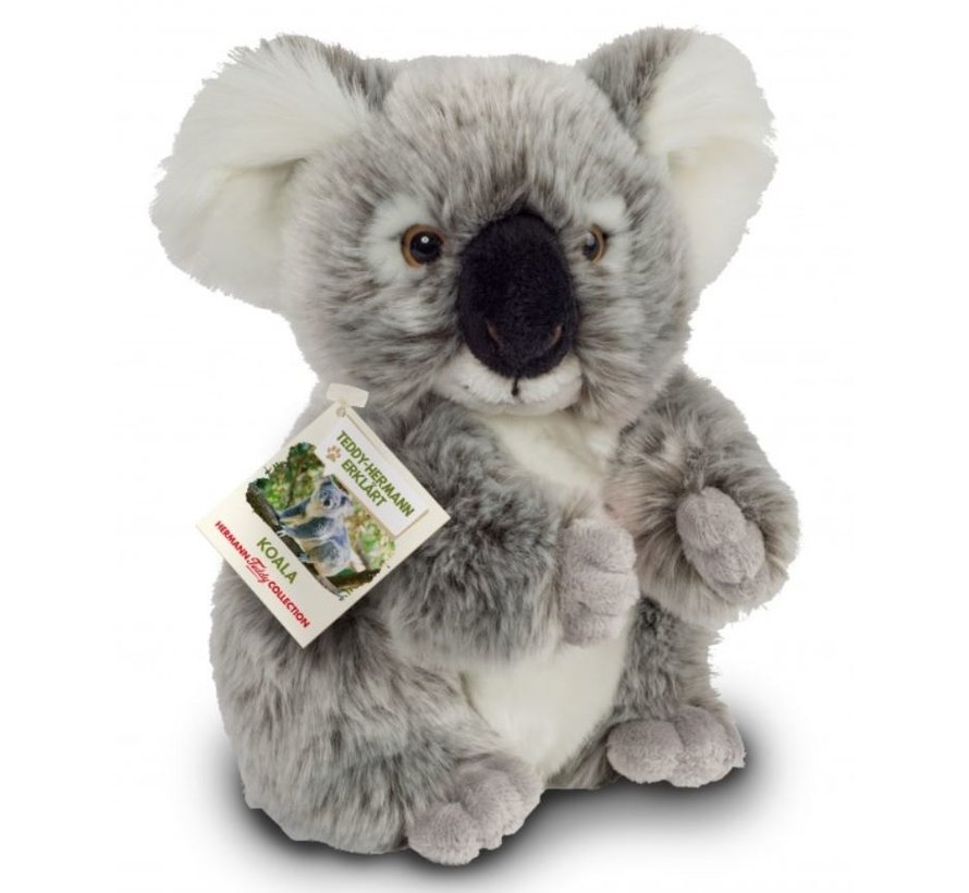 Stuffed Animal Koala