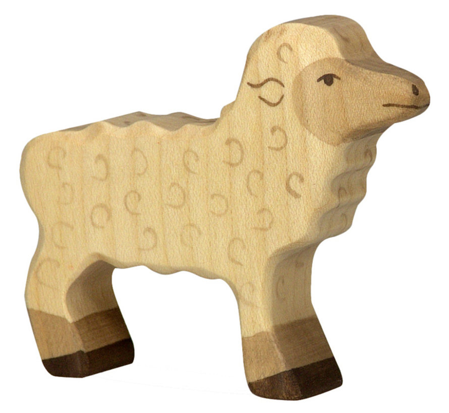 Lamb 80076