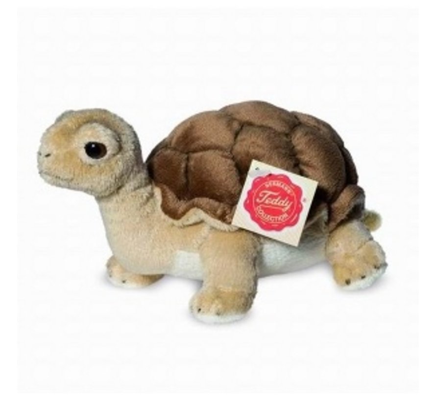 Stuffed Animal Turtle