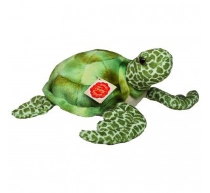 Stuffed Animal Turtle