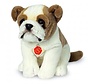 Stuffed Animal Dog English Bulldog