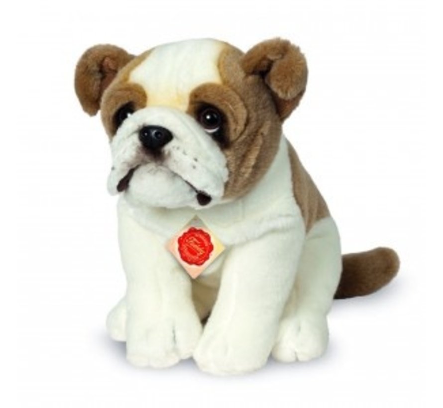 Stuffed Animal Dog English Bulldog