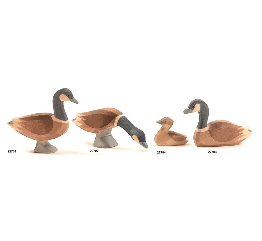 Gans Canadees Klein Zwemmend 22704