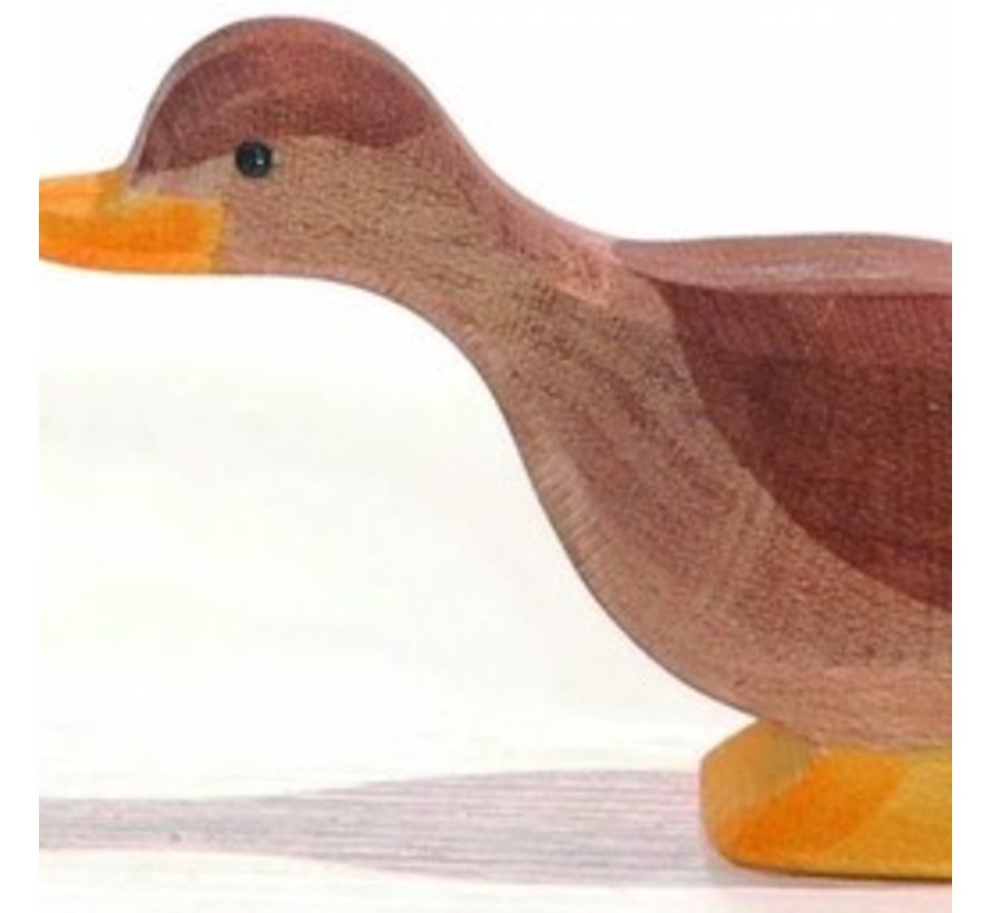 Duck 13214