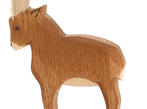 Ostheimer Steenbok 17501