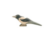 Bird Magpie 16809