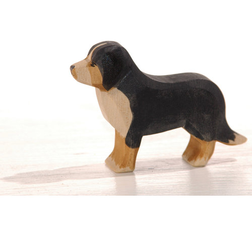 Ostheimer Hond Berner Sennen 10521