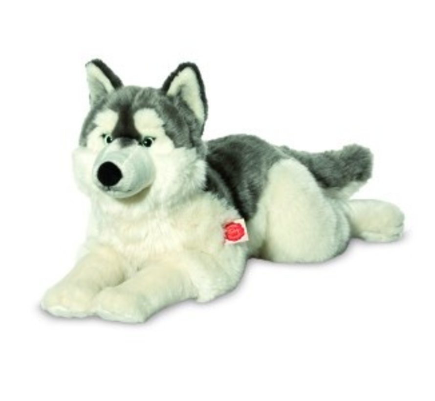 Knuffel Hond Husky Liggend