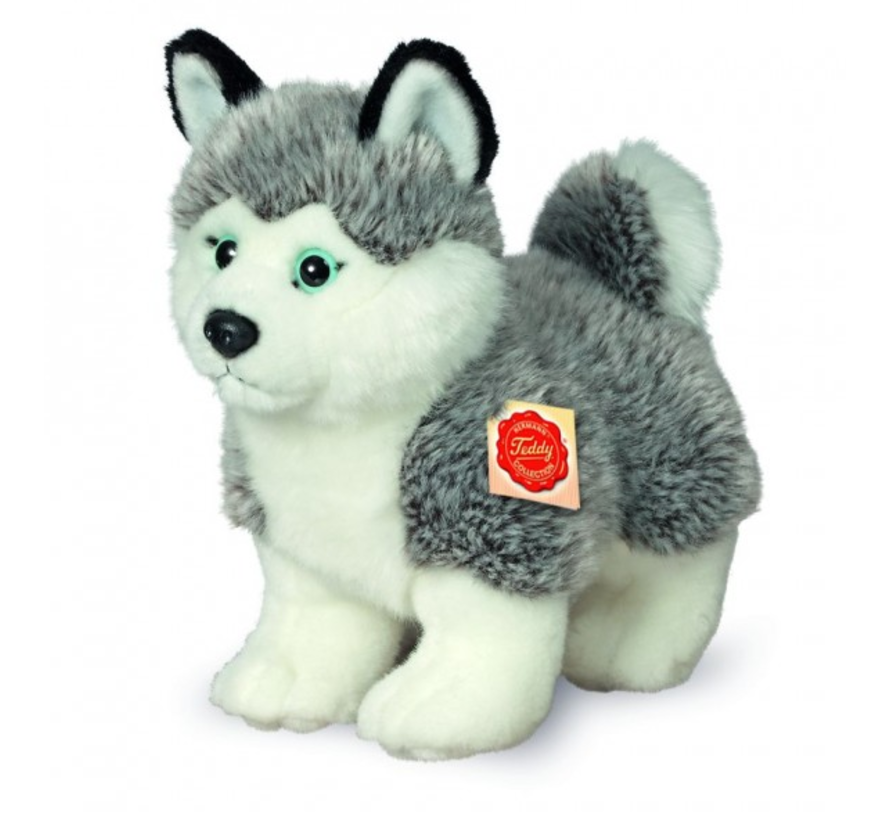 Stuffed Animal Dog Husky Standing