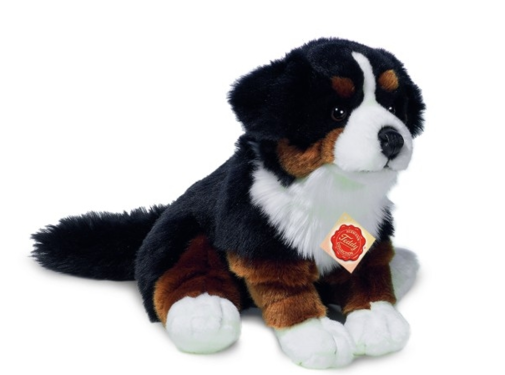 Hermann Teddy Knuffel Berner Sennenhond