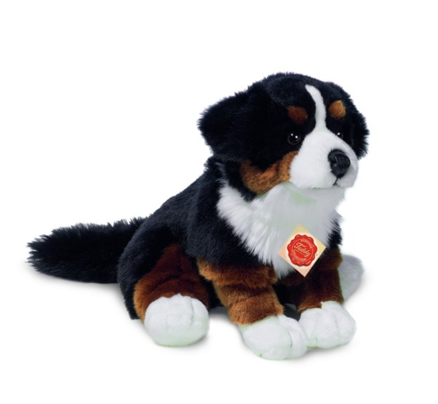 Stuffed Animal Bernese Moutain Dog