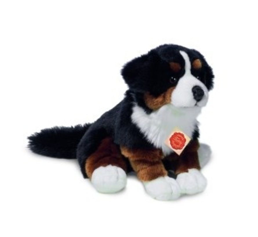 Stuffed Animal Bernese Moutain Dog