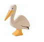 Pelican Standing 20551