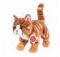 Stuffed Animal Cat Red Standing