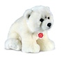 Stuffed Animal Polar Bear