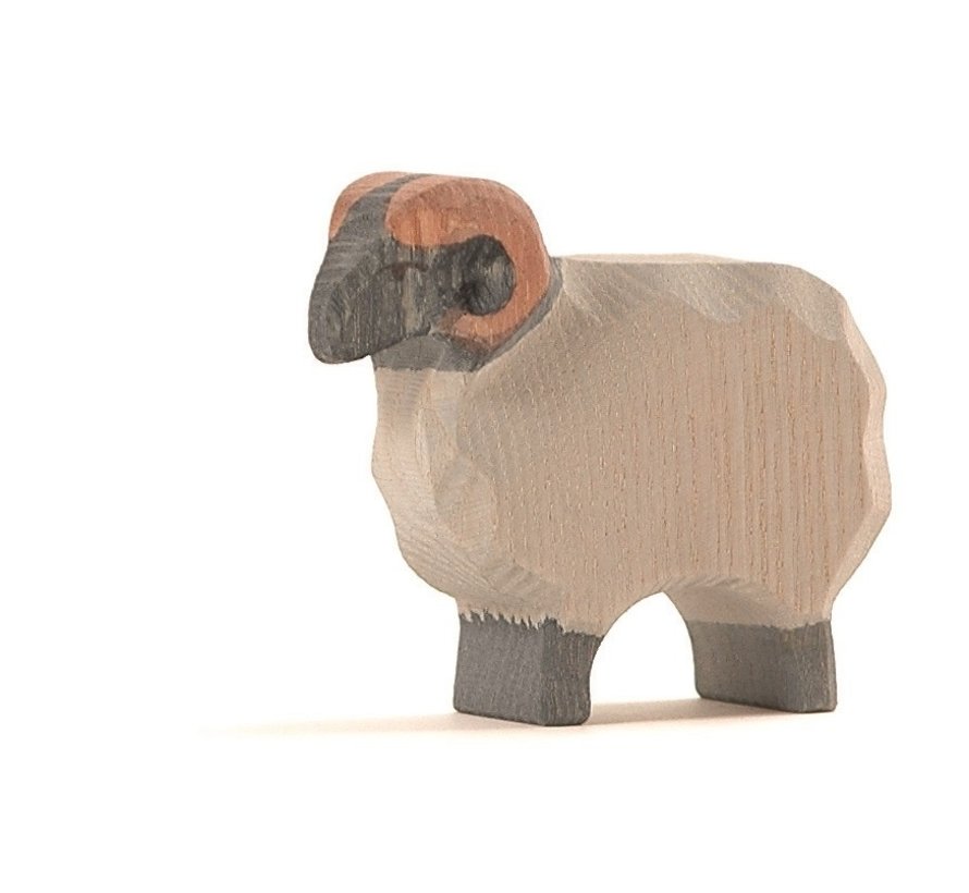 Heath Sheep Male 11751