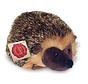 Stuffed Animal Hedgehog