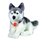 Stuffed Animal Dog Husky