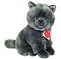 Cuddly Animal Cat Chartreux