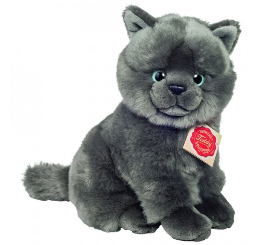 Peluche chartreux sale